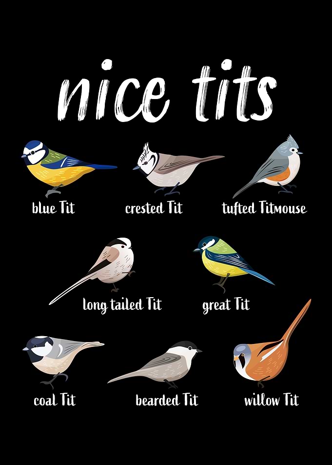 Funny Bird Pun Nice Tits