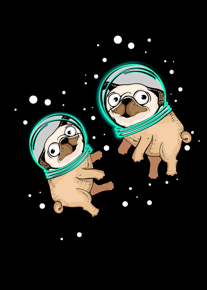Pug Gift Astronaut Dog