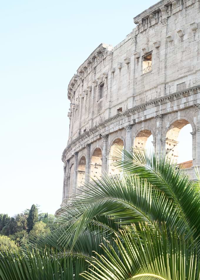 The Colosseum in Rome Palm