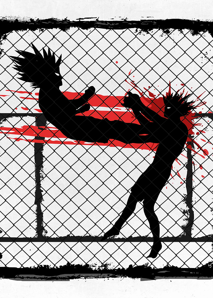 Fighting Without Rules