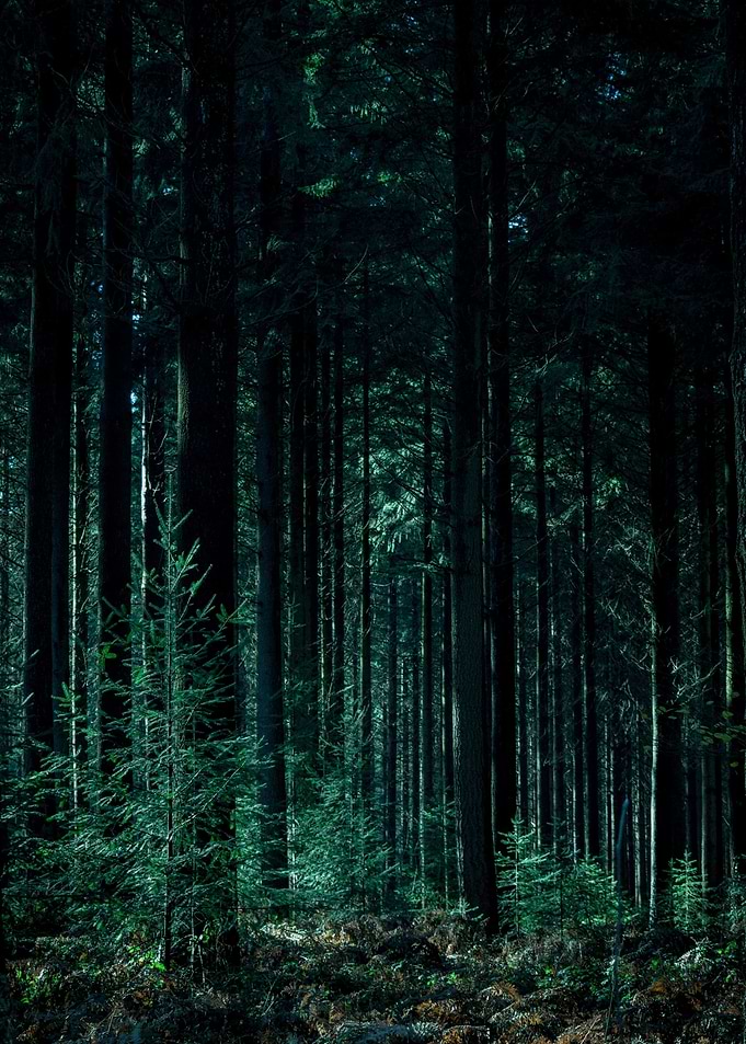 Within Nature