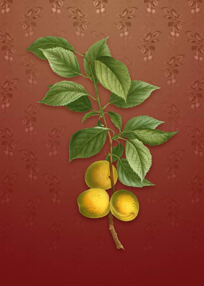 Vintage Briancon Apricot