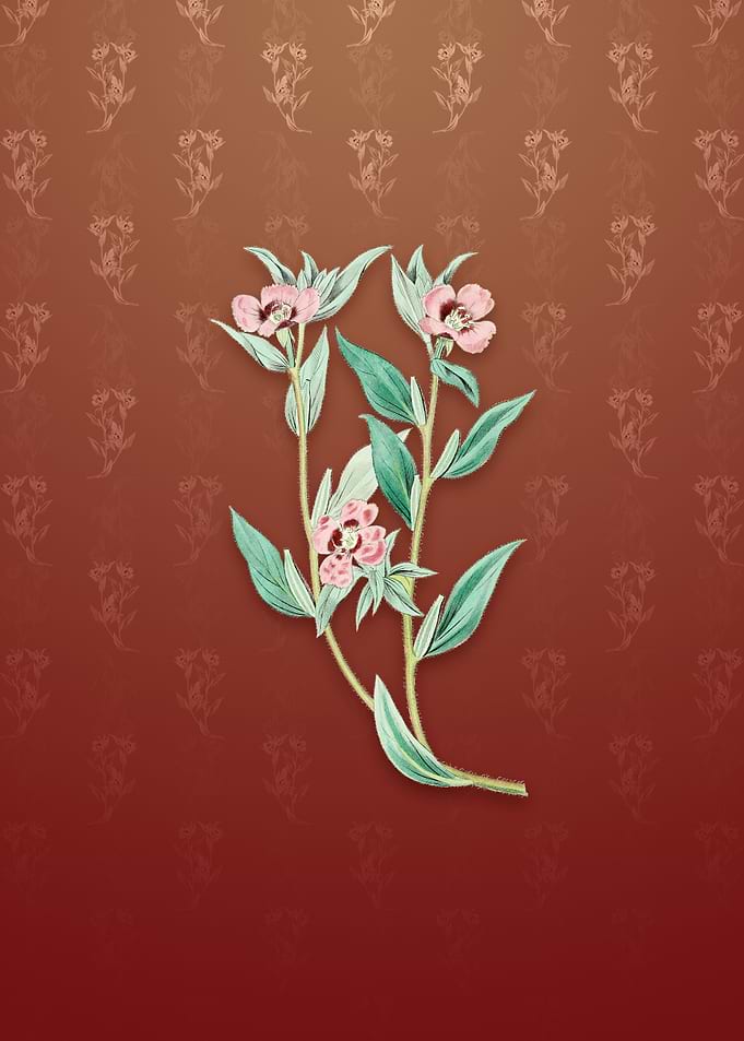 Vintage Longed Enothera