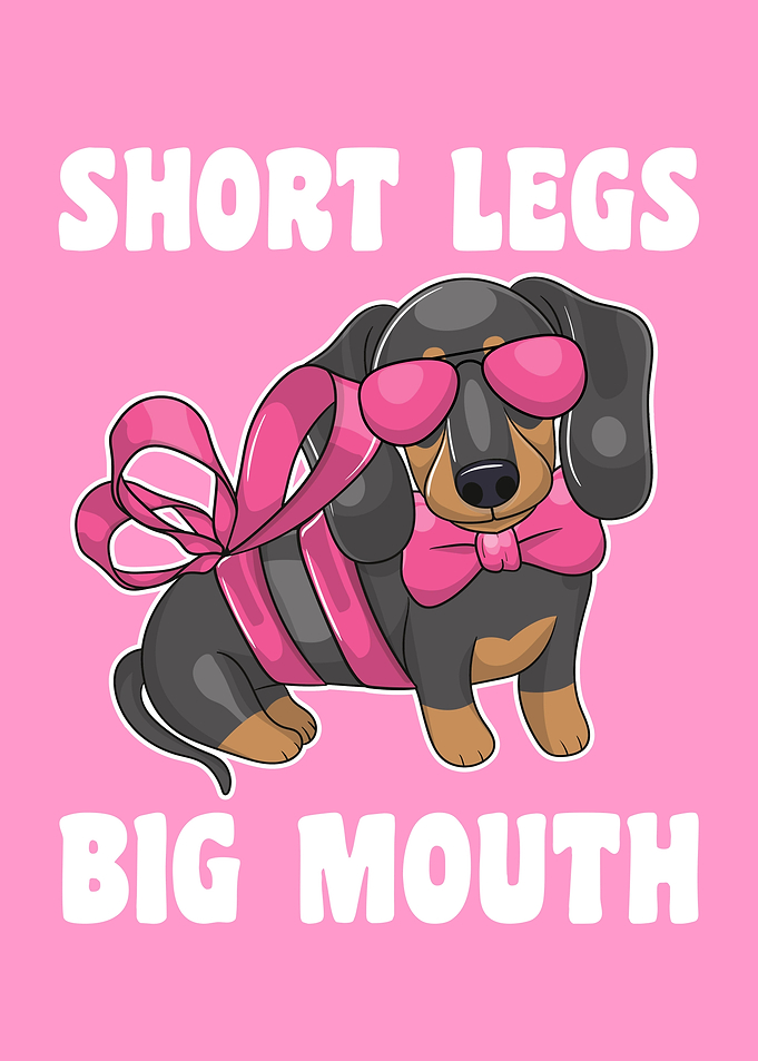 Funny Miniature Dachshund