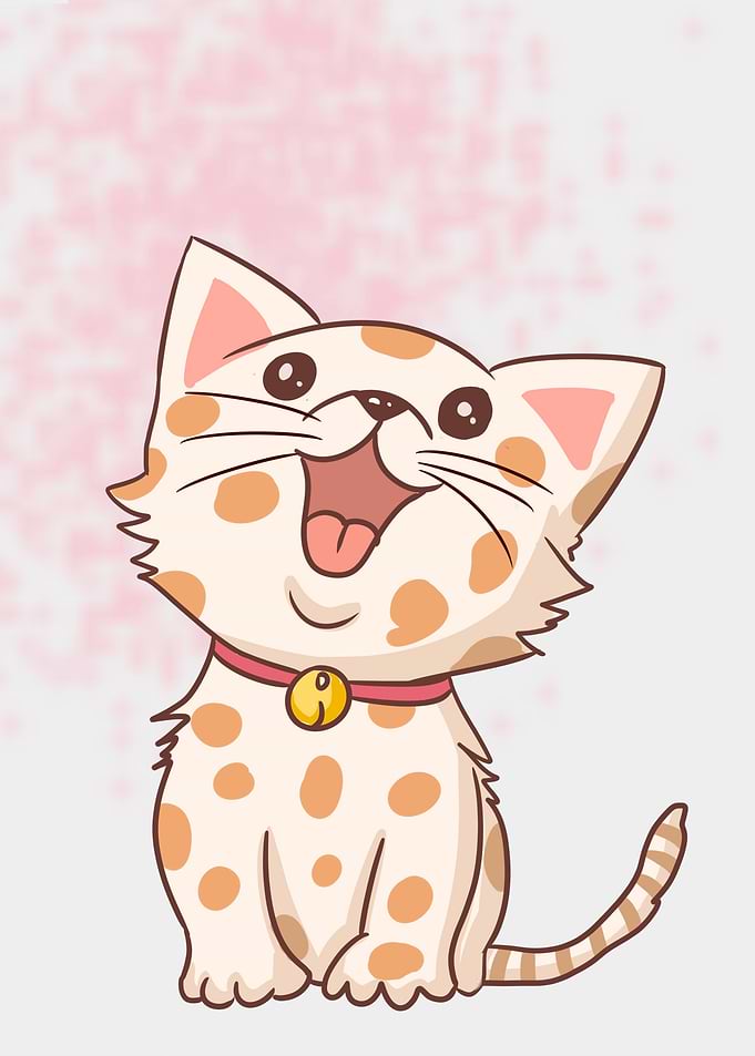 Cute Kitten Cat