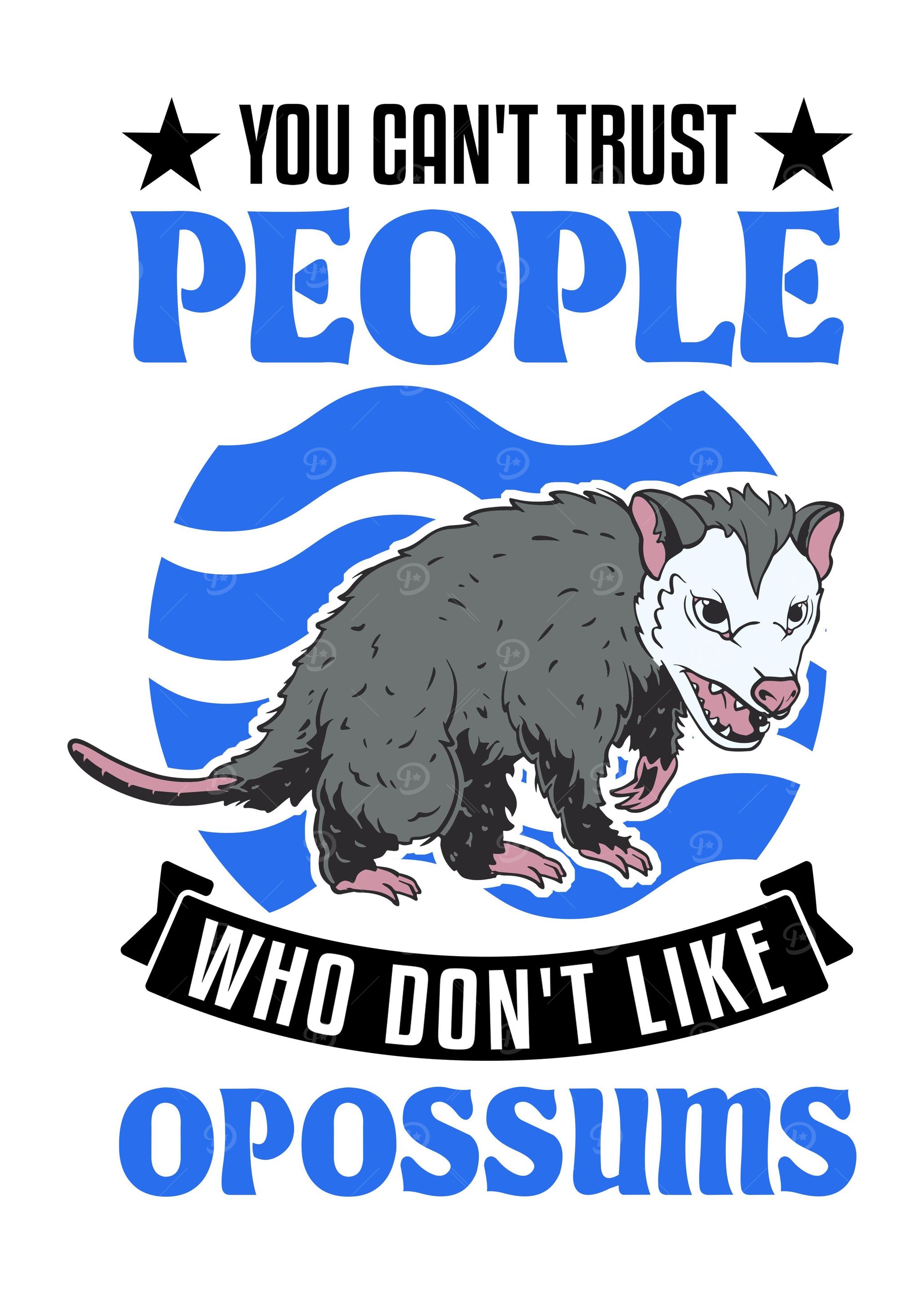 Possum Gift Opossum