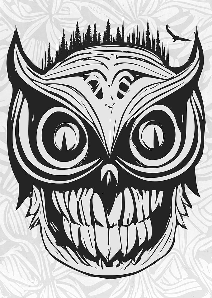 Owl and Owls