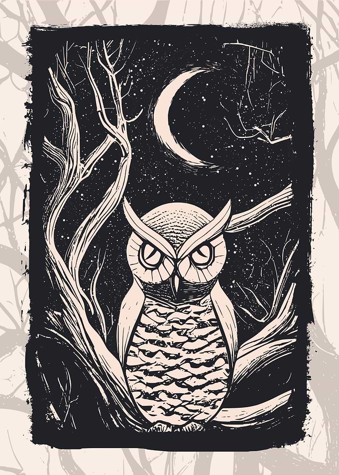 Owl and Owls