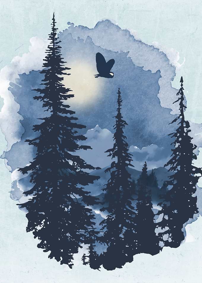 Owl and Owls