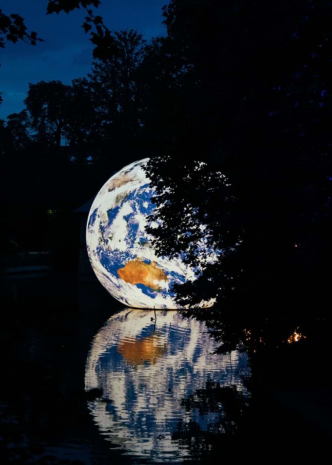 Earth in forest