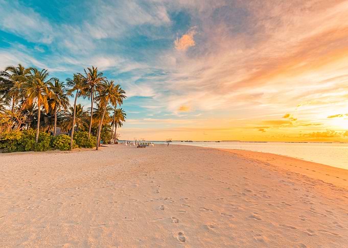 tropical beach and sea