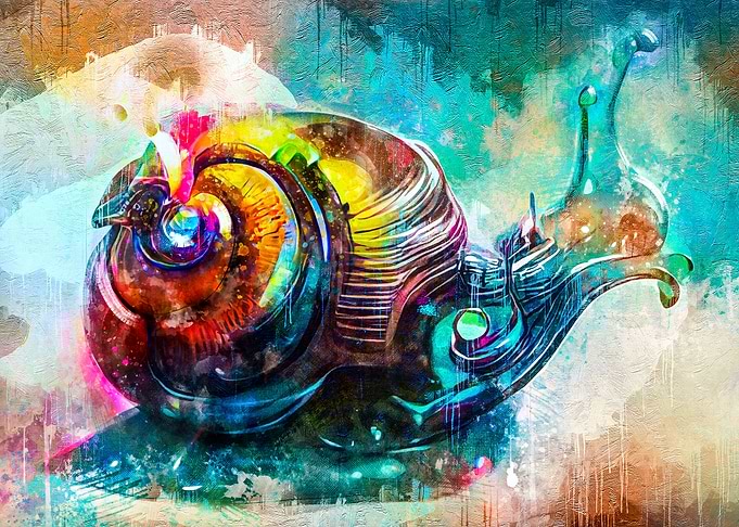 Snail
