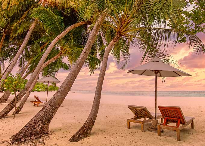 tropical beach and sea