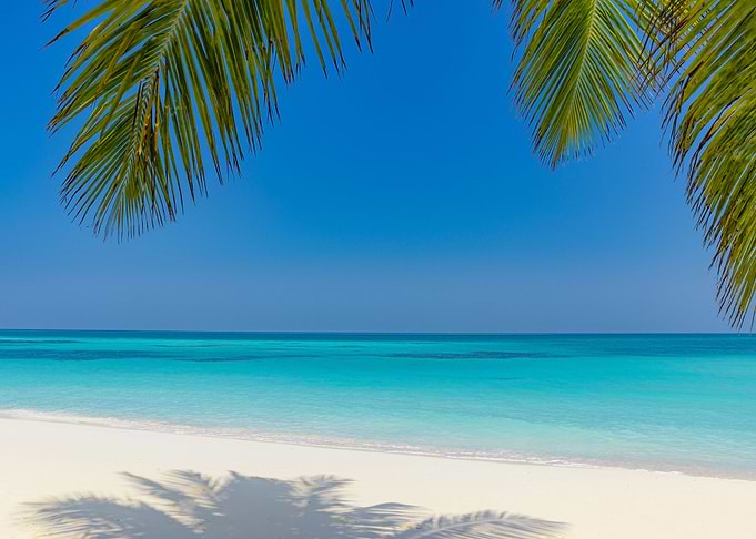 Beautiful tropical beach