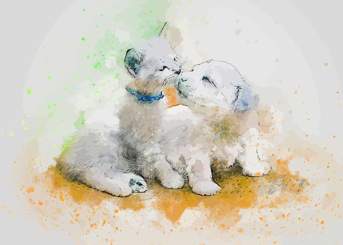 Cute animal