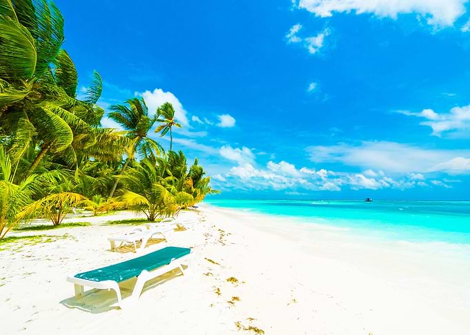 tropical beach and sea