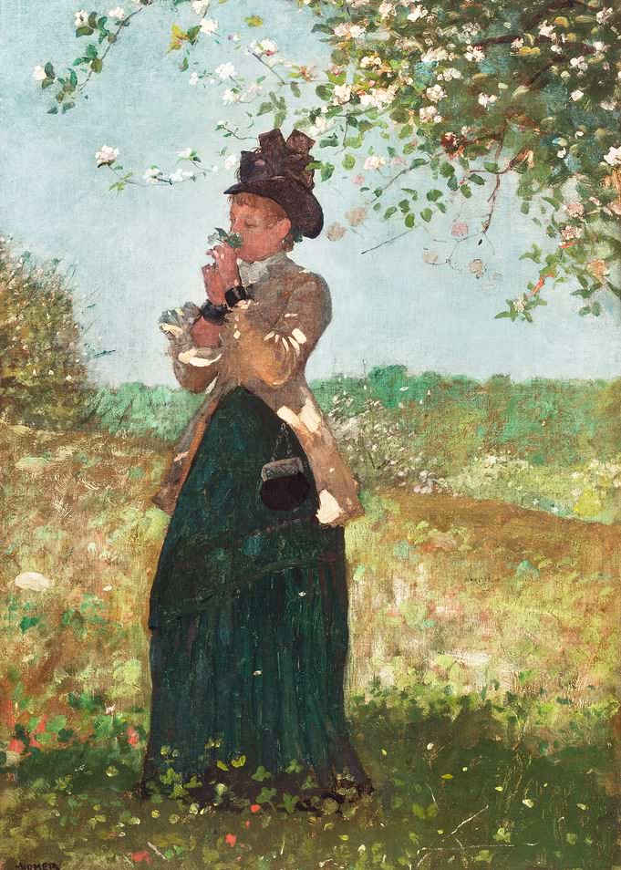 The Yellow Jacket 1879
