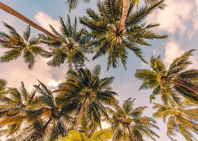 Beautiful tropical beach