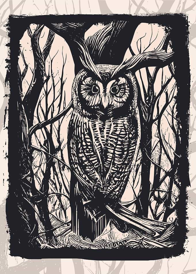 Owl and Owls
