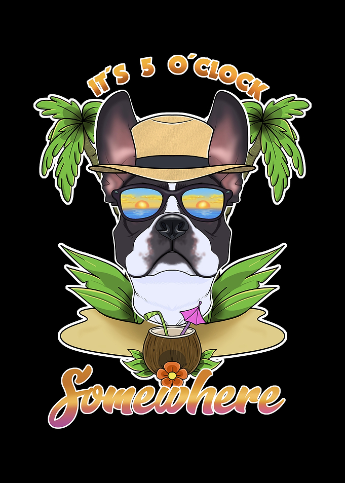 Boston Terrier Drinking