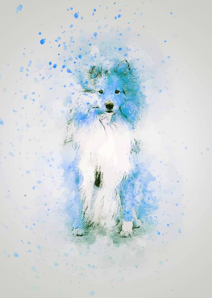 Cute animal