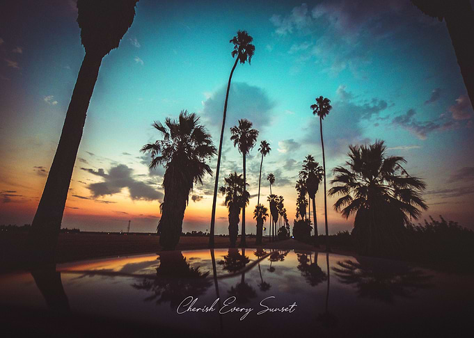 Beautiful Sunset