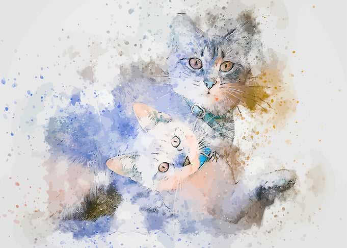Cute animal
