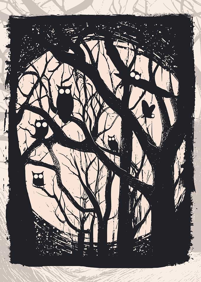Owl and Owls