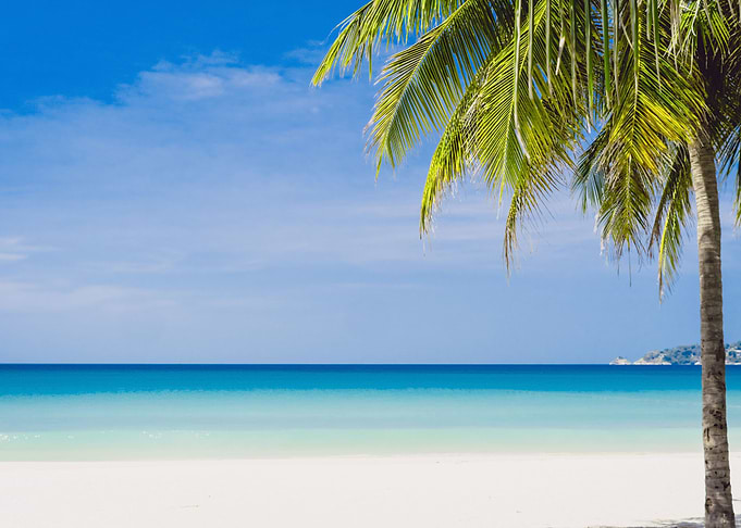Beautiful tropical beach