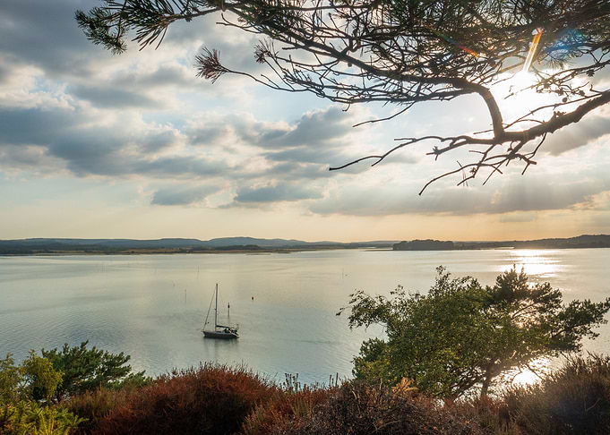 A Sailors dream