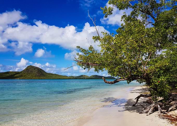 tropical beach and sea