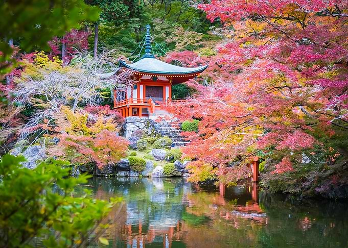 Japanese Scene