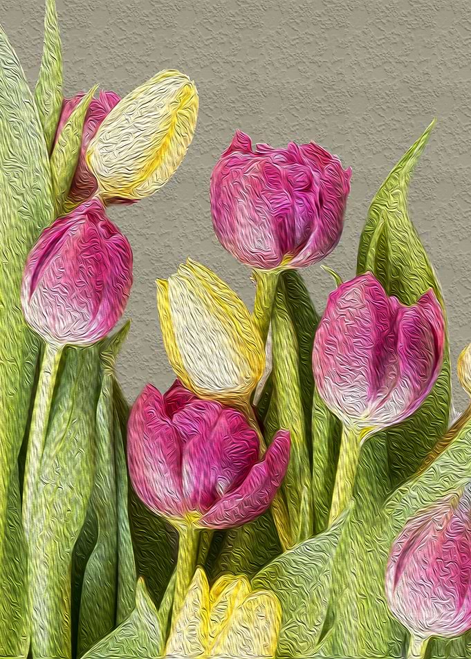 tulips oil