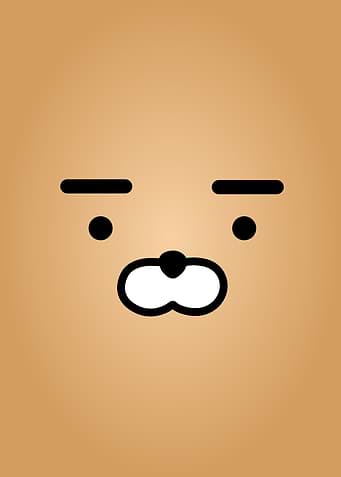 bear cute face