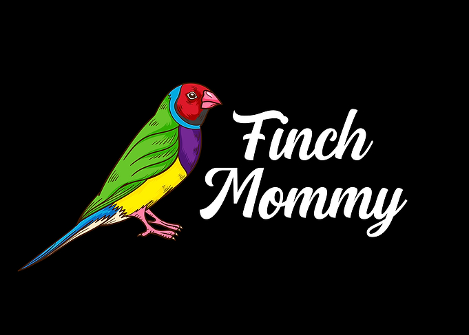 Finch Bird Gift Women