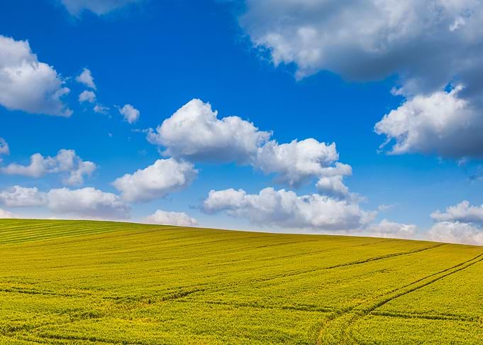 Sunny Sky Landscape