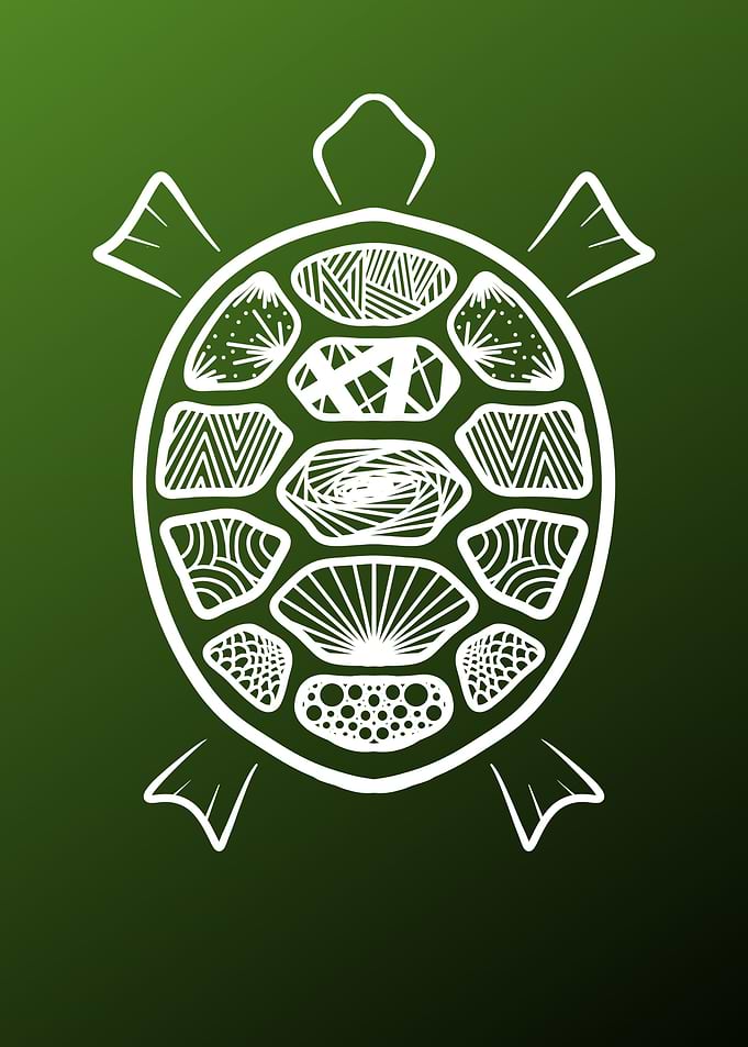 Minimalistic Turtle