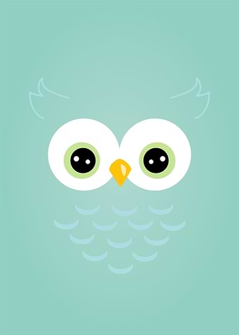 owl cute face