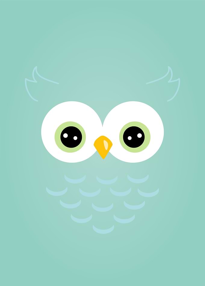 owl cute face