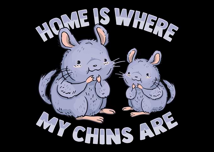 Home Chinchilla Owner