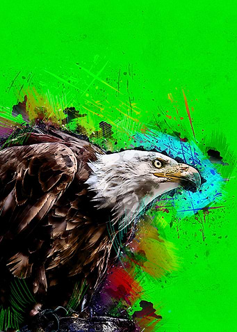 Eagle 3