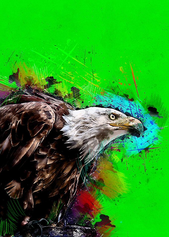Eagle 3