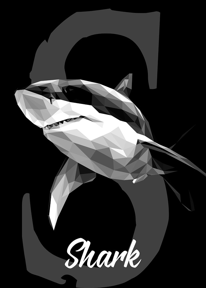 Shark