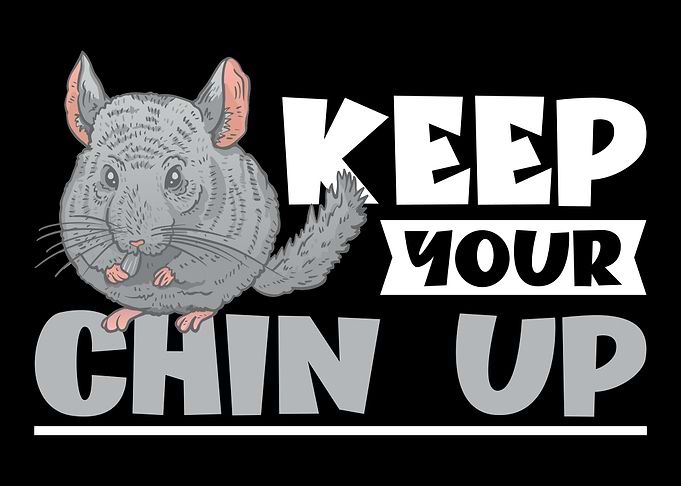 Chinchilla Owner