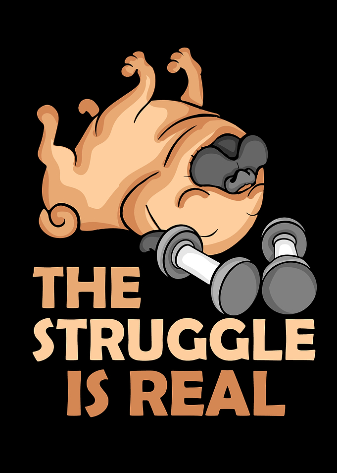 Dog Gift Gym Fitness Pug