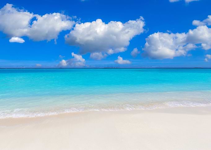 Sunny Sky Landscape