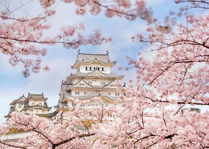 Japanese Scene