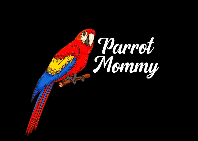 Parrot Gift Bird Lover