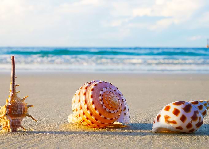 Tropical Beach