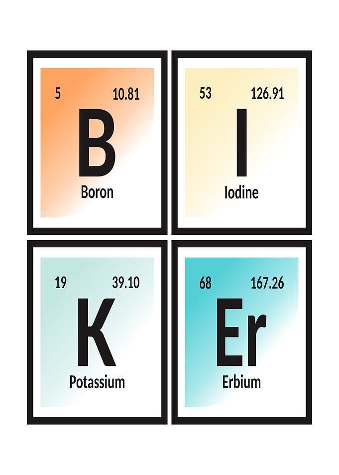 Element of Biker